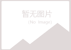 陆河县晓夏建设有限公司